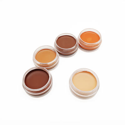 High Quality Full Coverage Waterproof Concealer Private Label