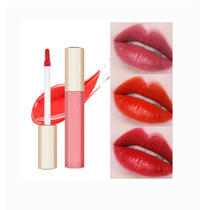 Long Lasting 8 Colors Velvet Moisturizing Lip Gloss Private Label